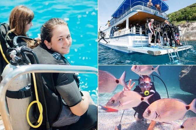 Marmaris / Icmeler : Scuba Diving with Lunch and Transfer - Key things to know before booking