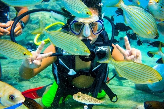 Marmaris / Icmeler : Scuba Diving with Lunch and Transfer - The 9:00 am pickup from Marmaris hotels