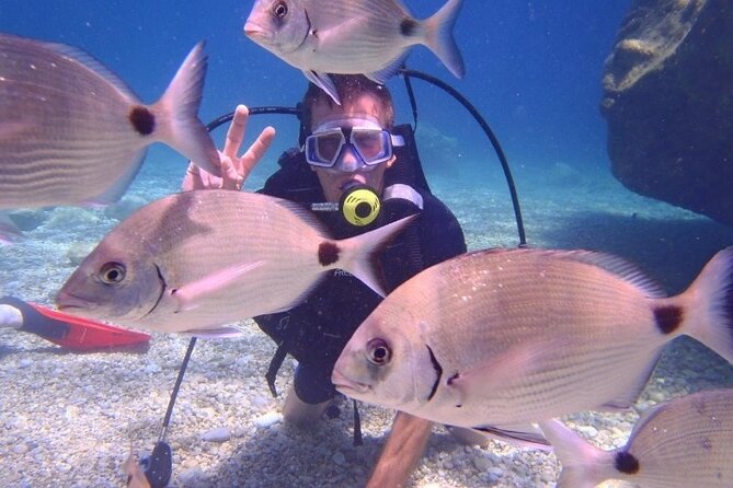 Marmaris / Icmeler : Scuba Diving with Lunch and Transfer - Who will enjoy this day on the water