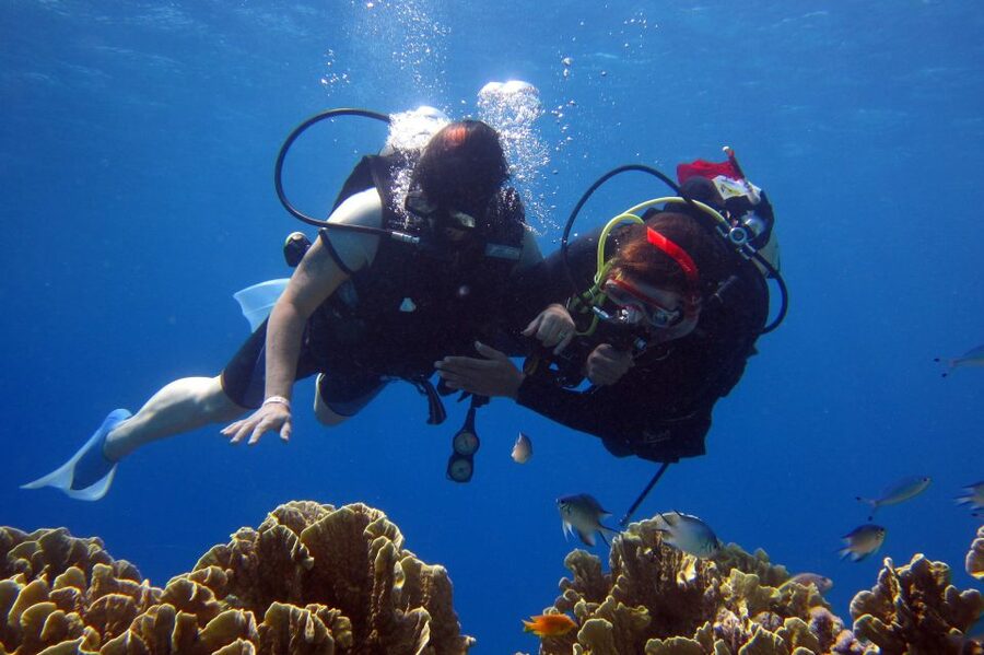 Marmaris: Scuba Diving Experience with 2 Dives and Lunch - Key points to know before booking