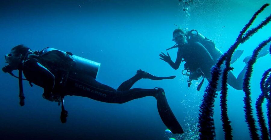 Marmaris: Scuba Diving Experience with 2 Dives and Lunch - What the Marmaris boat day is really like