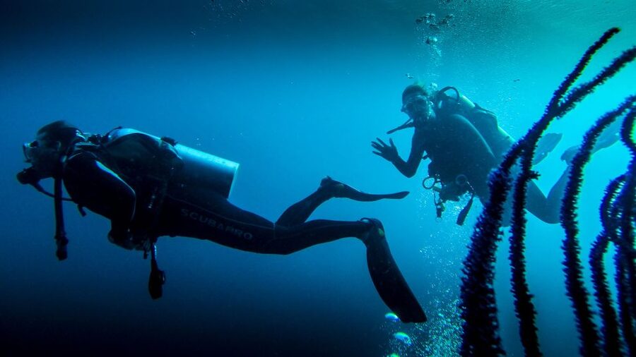 Marmaris: Scuba Diving Experience with 2 Dives and Lunch - The first 10-minute session: getting comfortable below the surface