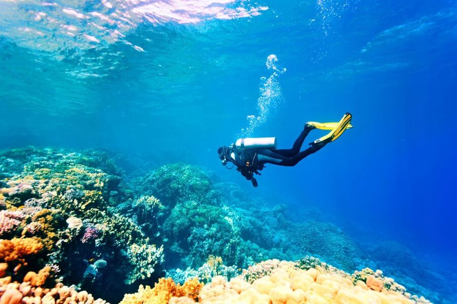 Marmaris: Scuba Diving Experience with 2 Dives and Lunch - The second 20-minute session: more time, more scenery