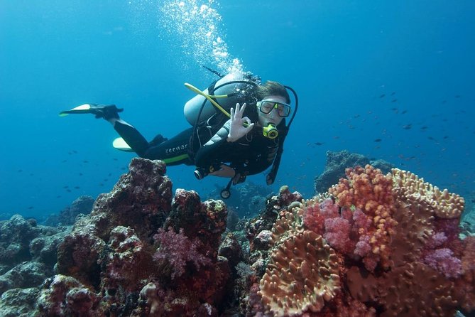 Marmaris Scuba Diving Experience with Lunch & Hotel Transfers - Key Points Before You Book