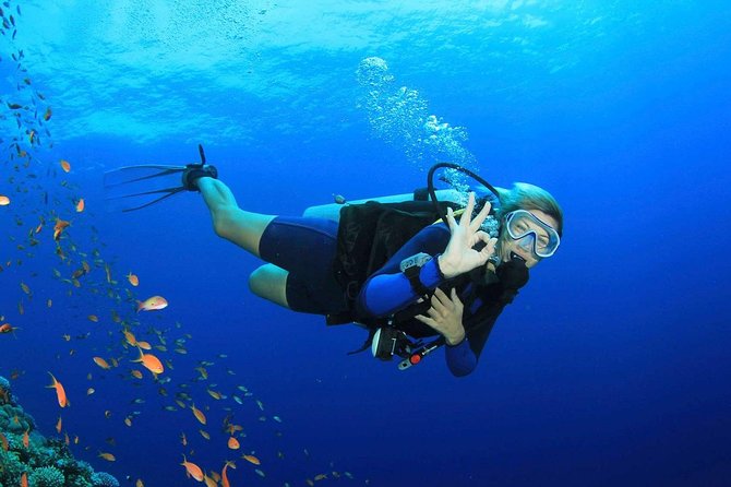 Marmaris Scuba Diving Experience with Lunch & Hotel Transfers - Second Session and Free Water Time