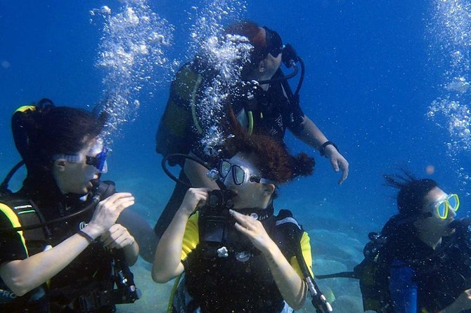 Marmaris Scuba Diving Experience with Lunch & Hotel Transfers - Is $30.01 Good Value?