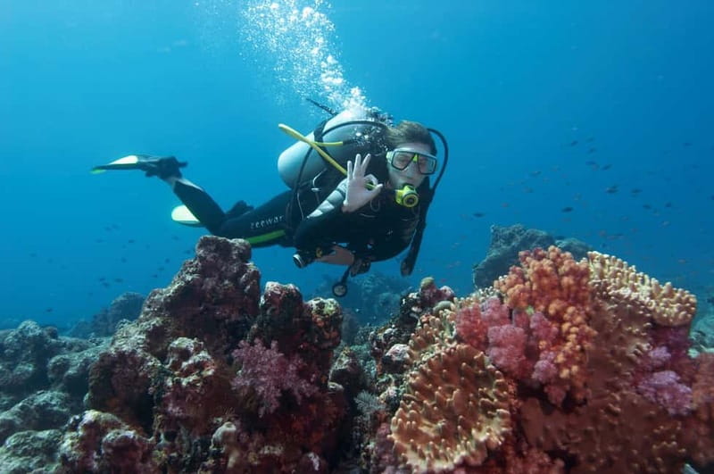 Marmaris: Scuba Diving, Incl. 2 Dive, Lunch w/Hotel Transfer - Hotel pickup and the morning start