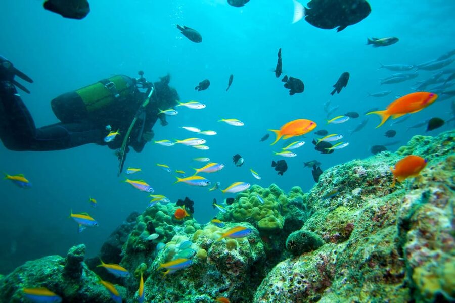 Marmaris: Scuba Diving with a Qualified Instructor - What the Marmaris underwater day is really like