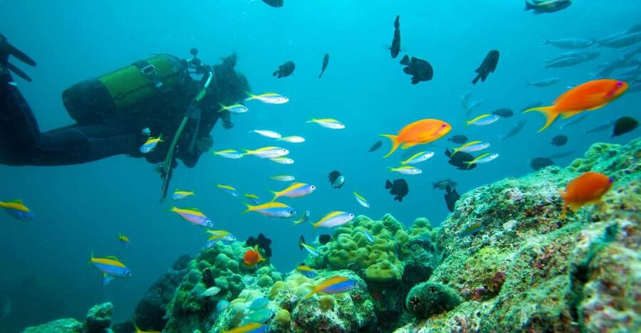 Marmaris: Scuba Diving with a Qualified Instructor - The boat ride and the first look at Marmaris bays