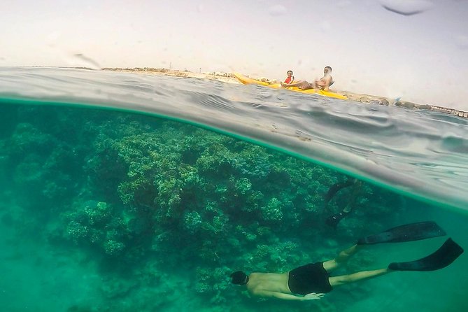 Marsa Mubarak Full Day and one intro Diving With Lunch, Transfer - Marsa Alam - What this Marsa Mubarak day is really like