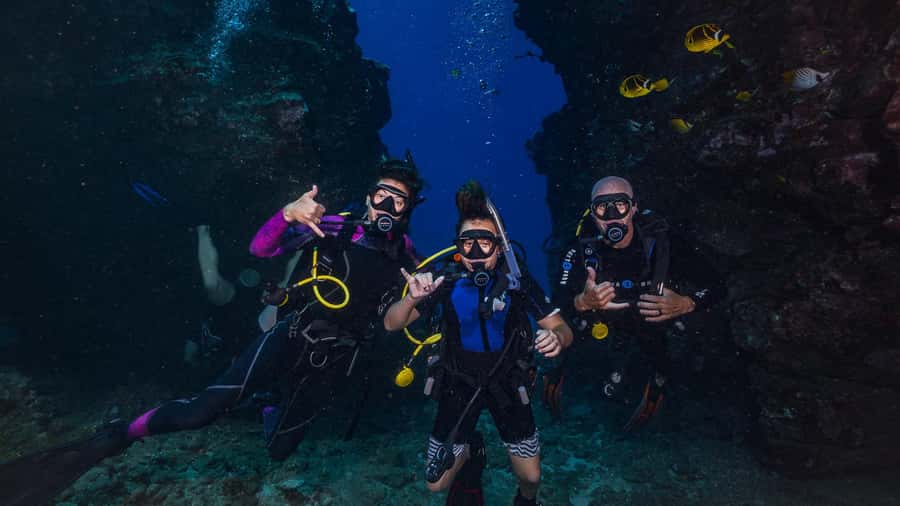 Maui: Intro to Scuba Diving from Shore - Lahaina - What the instructor support is really worth