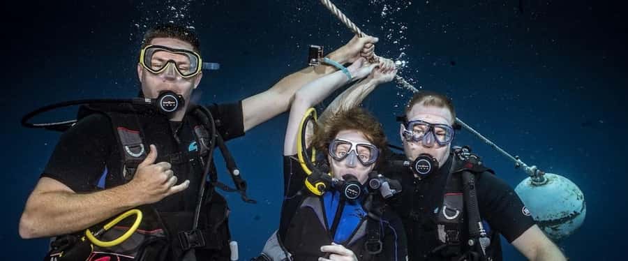 Maui: Intro to Scuba Diving from Shore - Lahaina - Complete the PADI eLearning before you arrive