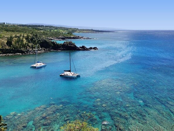 Maui Scuba Diving Introductory Lesson from Lahaina - Key Points Before You Book