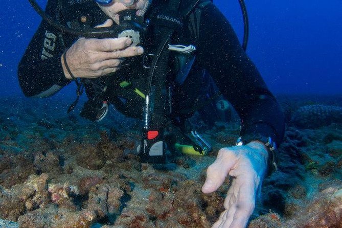 Maui Scuba Diving Introductory Lesson from Lahaina - What This Maui Scuba Experience Really Is