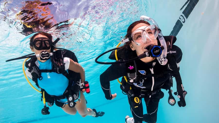 Mauritius: East Belle Mare Scuba Diving Tour - Key points at a glance