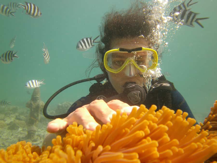 Mauritius: East Belle Mare Scuba Diving Tour - Starting in Belle Mare with a proper safety briefing