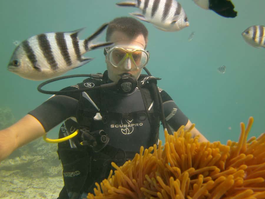 Mauritius: East Belle Mare Scuba Diving Tour - Shipwrecks and underwater scenery near Belle Mare