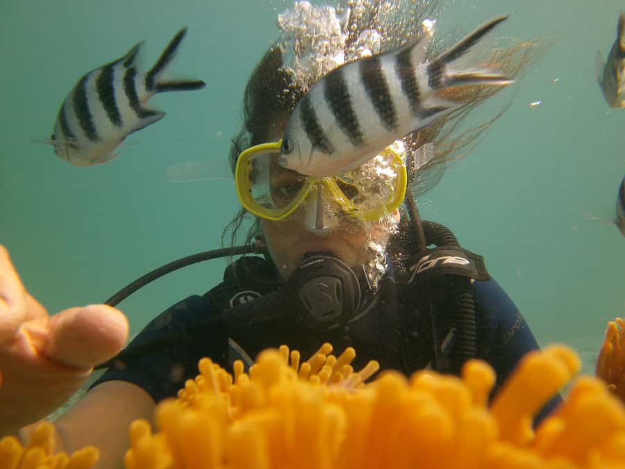 Mauritius: East Belle Mare Scuba Diving Tour - Is $158 good value?