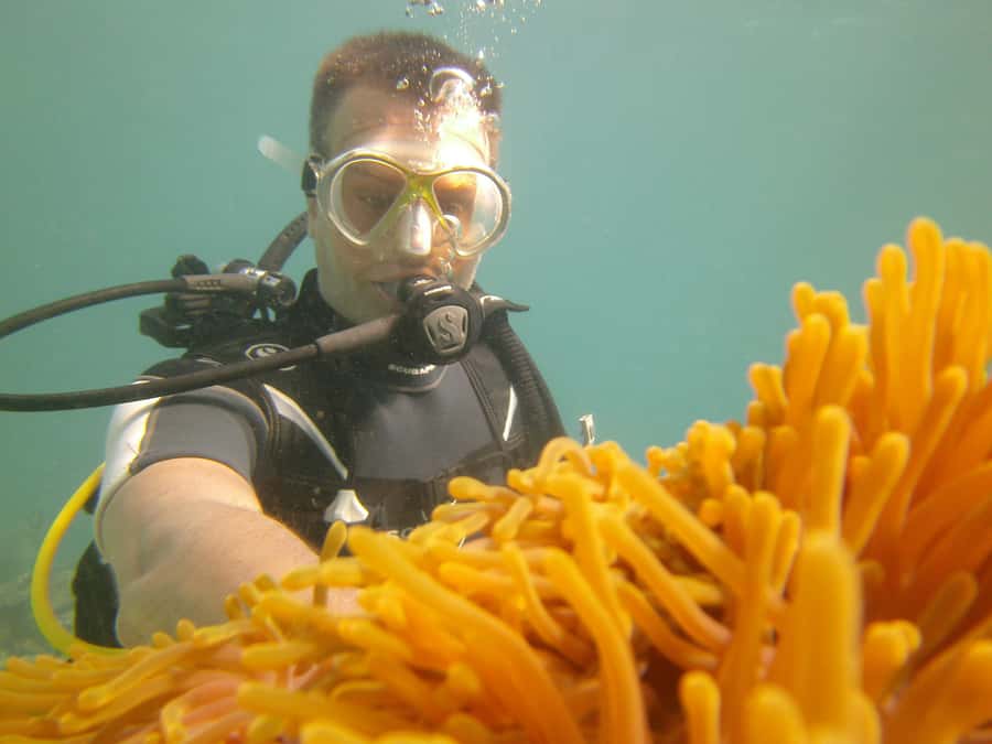 Mauritius: East Belle Mare Scuba Diving Tour - Who should book this Belle Mare experience?