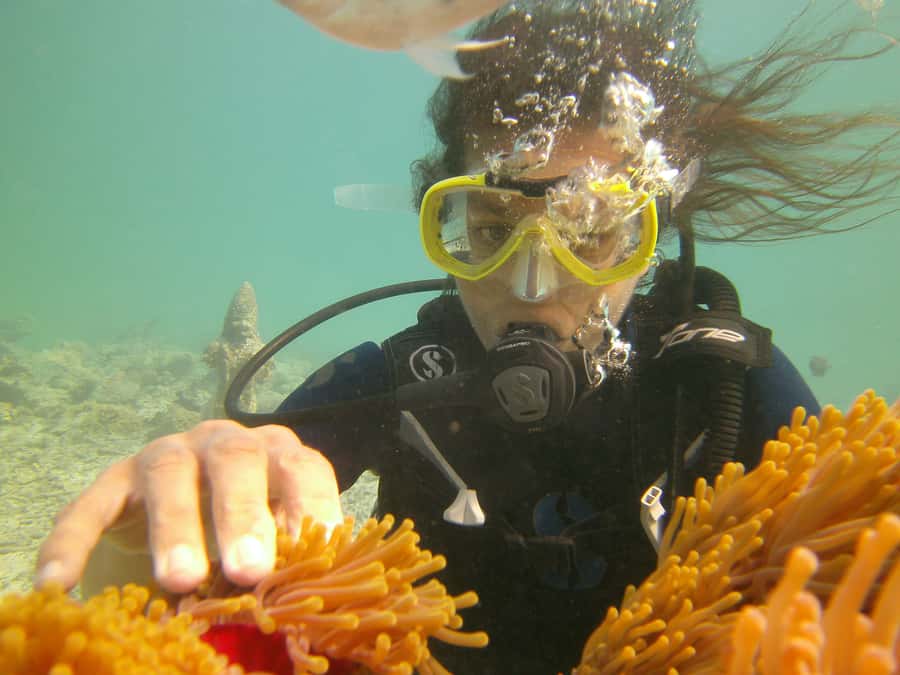 Mauritius: East Belle Mare Scuba Diving Tour - Should you book it?