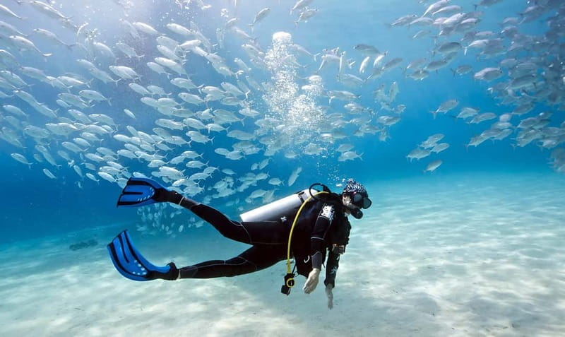 Mellieha: Introductory Diving Session in the Open Sea - Why Mellieha is a good place to start