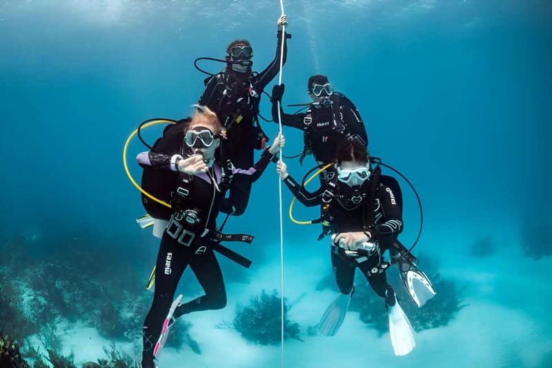 Mellieha: Introductory Diving Session in the Open Sea - Shallow-water practice builds useful confidence