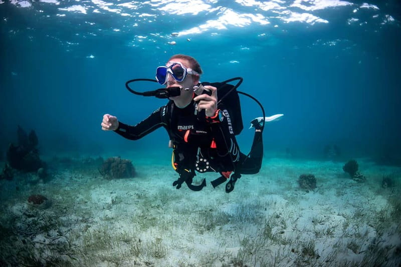 Mellieha: Introductory Diving Session in the Open Sea - The open-sea portion at up to 12 meters