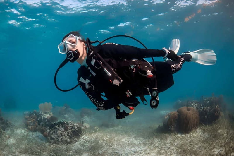 Mellieha: Introductory Diving Session in the Open Sea - The equipment and what the $146 price covers