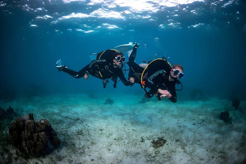 Mellieha: Introductory Diving Session in the Open Sea - Health rules are serious, not fine print