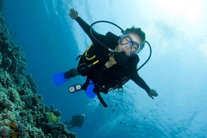 Menjangan Island Bali Diving Activity - A 6:00 am start at Celukan Bawang