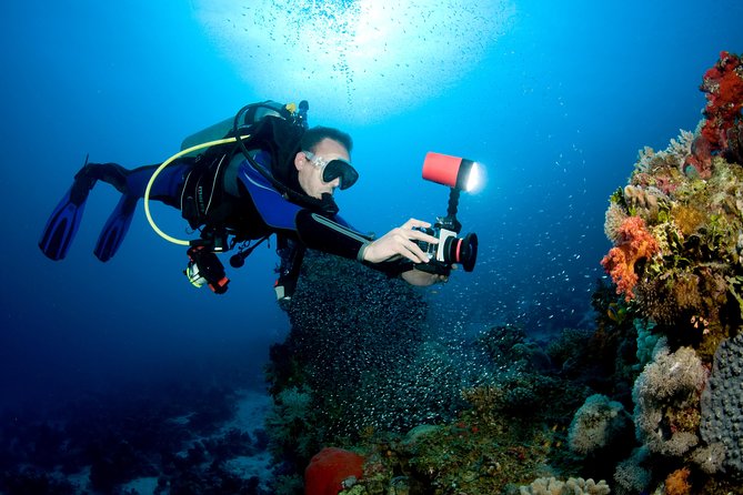 Menjangan island for Certified Scuba Divers full day boat trip, 2 dives + lunch - The listed Biorock Pemuteran stop