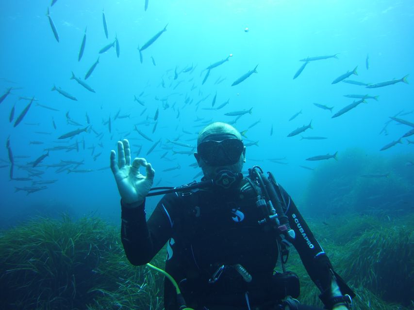 Menorca: Baptism Scuba Diving in Marine Reserve - Starting at Blue Dive Menorca