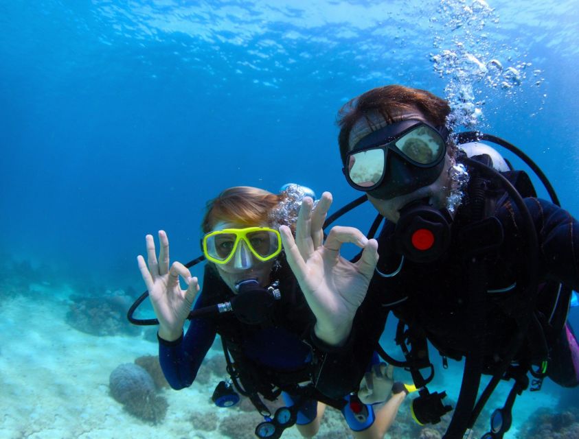 Menorca: Baptism Scuba Diving in Marine Reserve - A calm lesson before you enter the sea