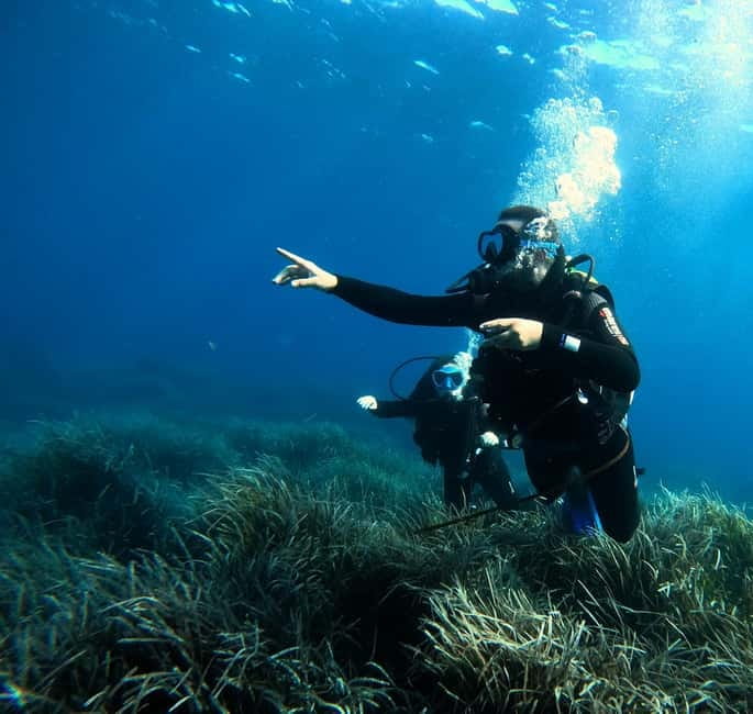 Menorca: Try scuba diving in Cala'n Bosch -BLUEWATER MENORCA - Why Cala en Bosch works for a first underwater session