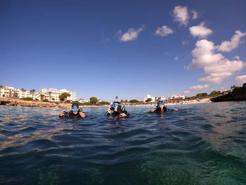 Menorca: Try scuba diving in Cala'n Bosch -BLUEWATER MENORCA - About 60 minutes among Menorca’s marine life