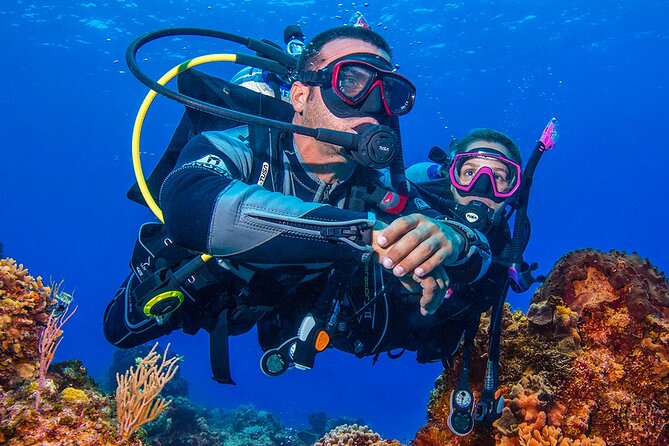 Miami Guided 2-Tank Scuba Diving: South Florida’s Reefs & Wrecks - First stop: Miami wrecks at 60 to 70 feet