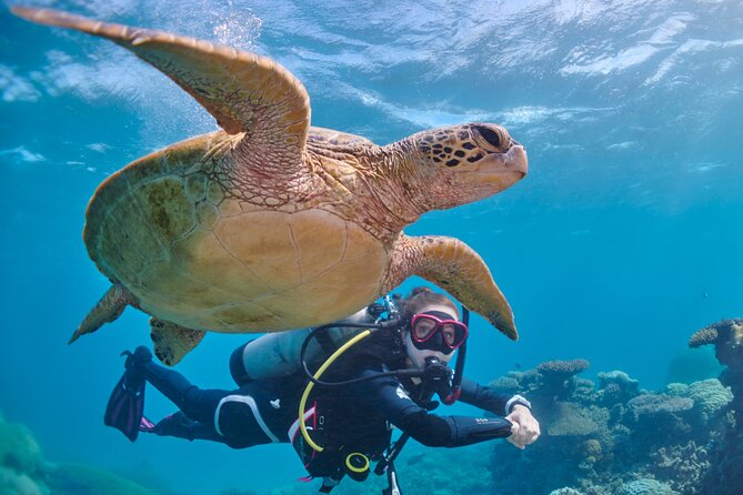 Miami Guided 2-Tank Scuba Diving: South Florida’s Reefs & Wrecks - The 7:15 a.m. start at Collins Avenue