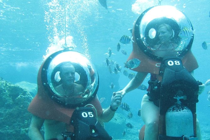 Mini-SUB Dive Tour from Cozumel - How much marine life will you see?