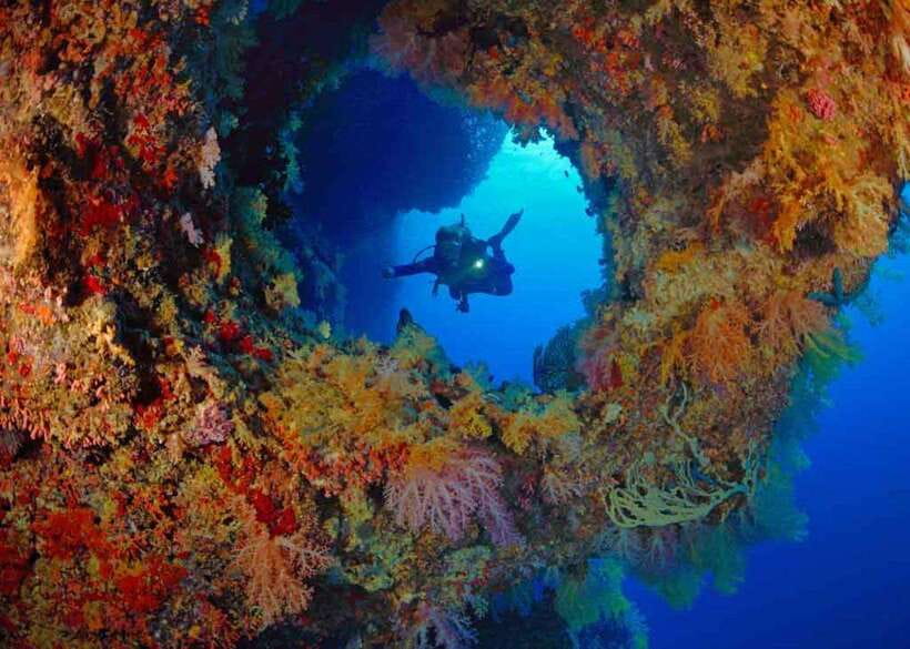 Moalboal: Scuba Diving and Pescador Island Hopping - Two sessions are better than one