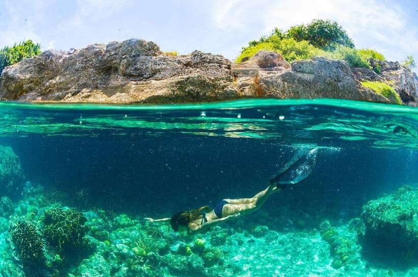 Moalboal: Scuba Diving and Pescador Island Hopping - Safety and suitability for beginners