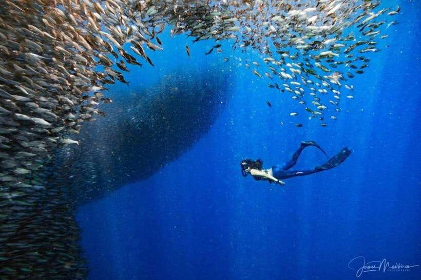 Moalboal: Scuba Diving and Pescador Island Hopping - Pickup and arrival: the part to handle carefully