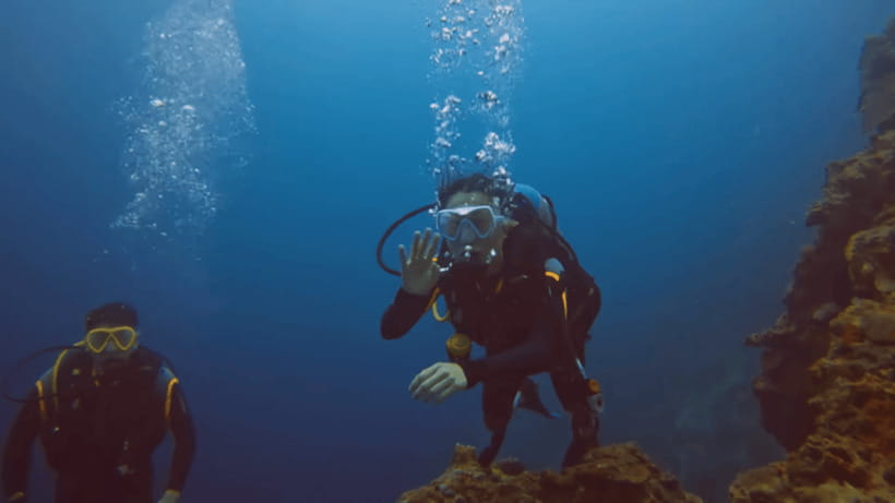 Moalboal: Scuba Diving and Pescador Island Hopping - Who will enjoy this Moalboal outing most