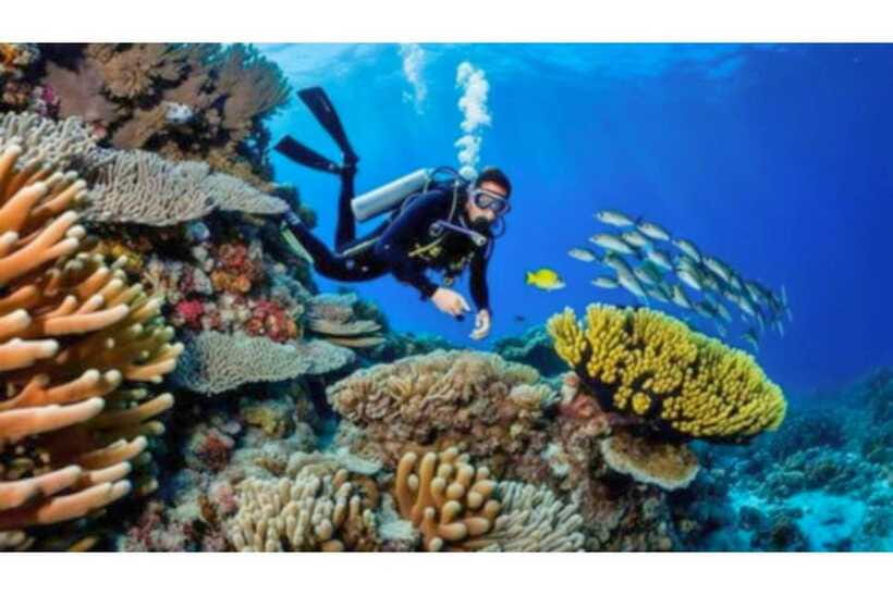 Moalboal : Scuba Diving Sardine Run and Turtle Chasing - Practical packing advice for a smoother day