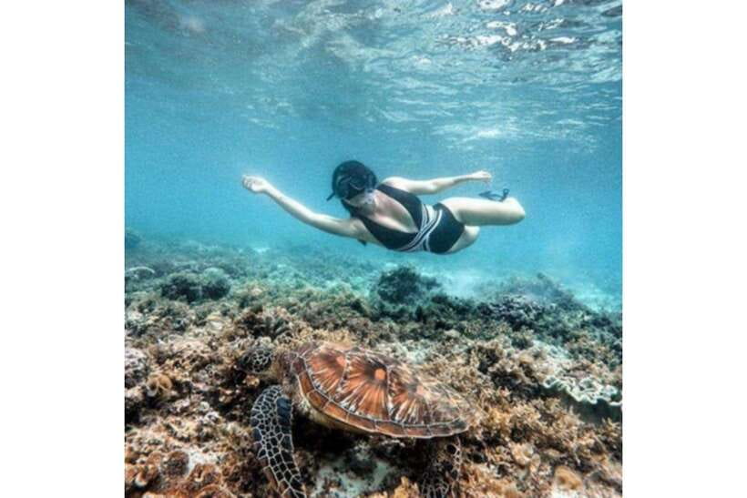 Moalboal : Scuba Diving Sardine Run and Turtle Chasing - Boat time and what the three hours mean