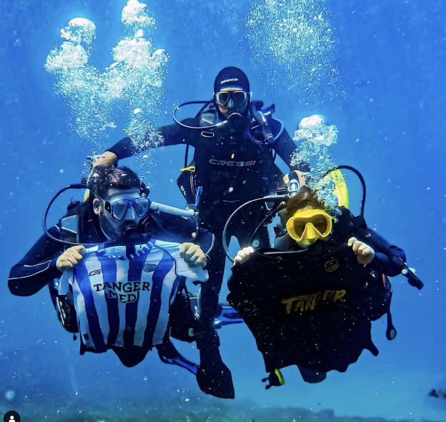 Morocco: PADI Discover Scuba Diving Dive - The marine life you may encounter