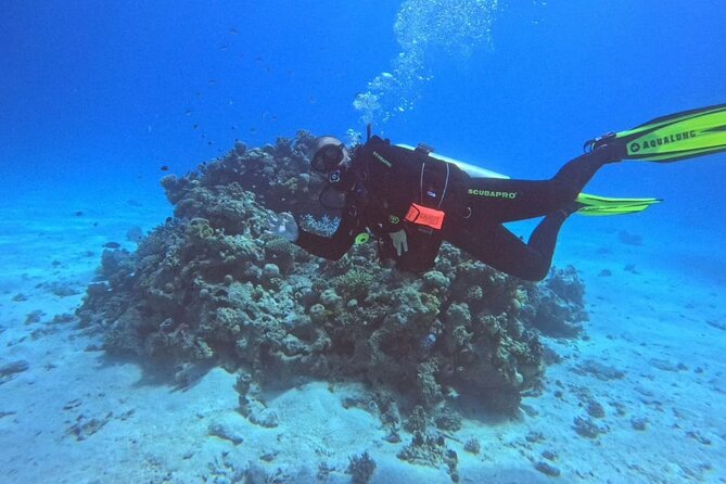 Moving Underwater 2 professional diving with lunch - The first coral reef and your first underwater session