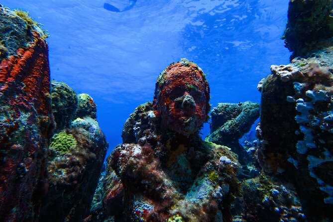 MUSA Museum and Colorful Reef 2 Tank Dive-Certified Divers - Manchones Reef brings the natural action