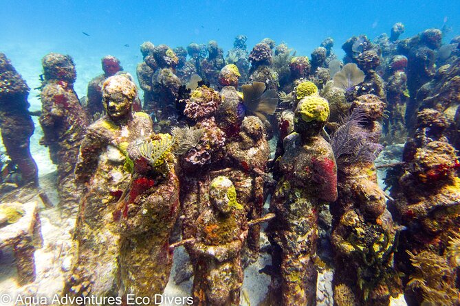 MUSA Museum and Colorful Reef 2 Tank Dive-Certified Divers - How the guides shape the day