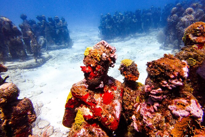 MUSA Museum and Colorful Reef 2 Tank Dive-Certified Divers - Is $100 a good value?