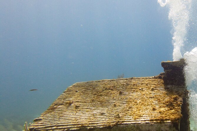 MUSA Museum and Colorful Reef 2 Tank Dive-Certified Divers - Who should choose this Isla Mujeres outing?